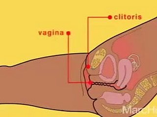 کس طرح squirt سے