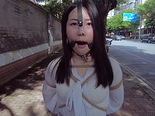 perhambaan awam cina