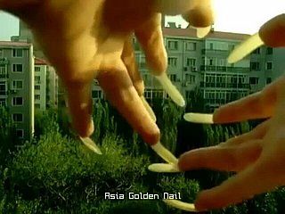 لينغ من AGN (مقاطع متنوعة)