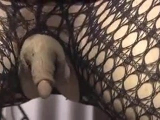 엄청난 발기 클리토리스